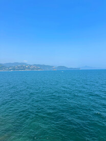 大海
