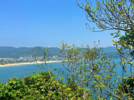 大海