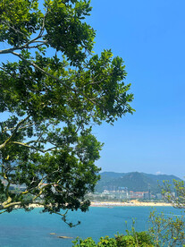 大海
