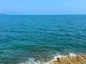 大海