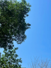 天空