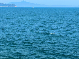 大海