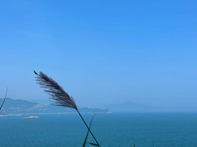 大海