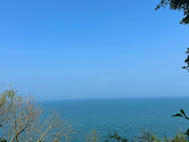 大海