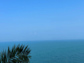 大海