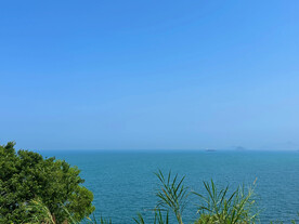大海