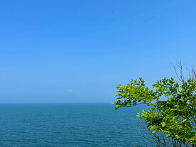 大海