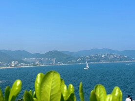 大海