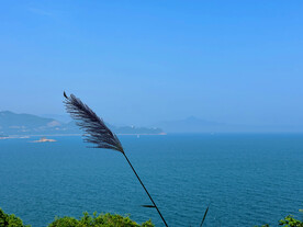大海