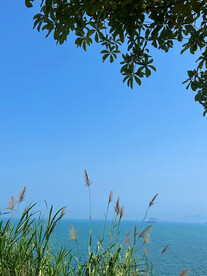 大海