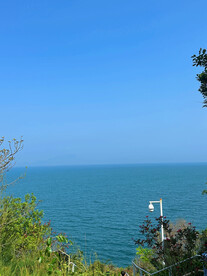 大海