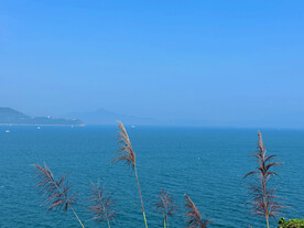 大海