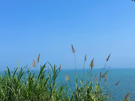 大海