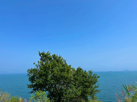 大海