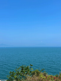大海