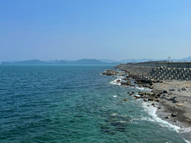 大海