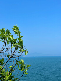 大海