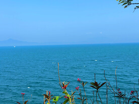 大海