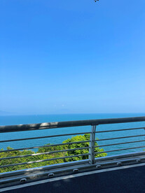 大海