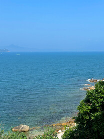 大海
