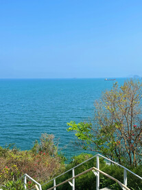 大海