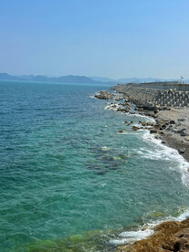 大海