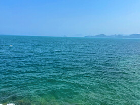 大海