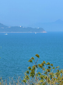 大海