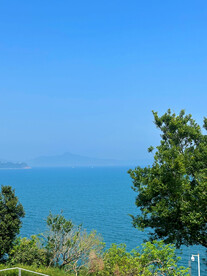 大海