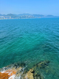 大海