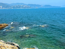 大海
