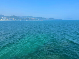 大海