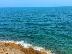 大海
