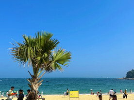 海边沙滩