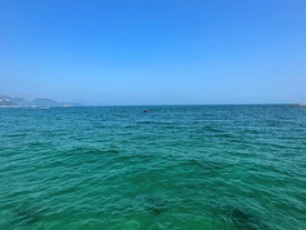 大海