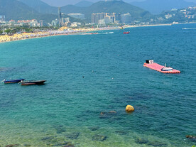 大海