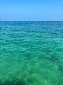 大海