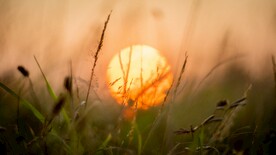 太阳