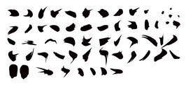 字体