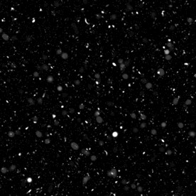 下雪后期溶图