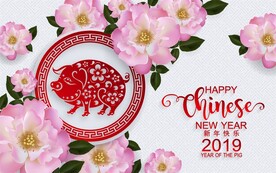 迎春花海报 