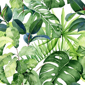 绿植背景 