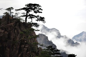 黄山风景