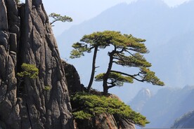 黄山风景