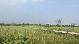 乡村小路