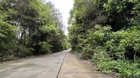乡间小路