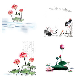 水墨荷花