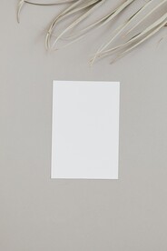 纸