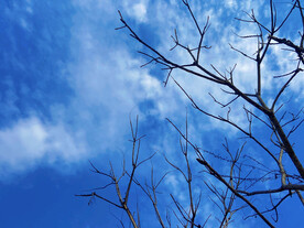 天空
