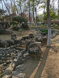 公园小溪风景